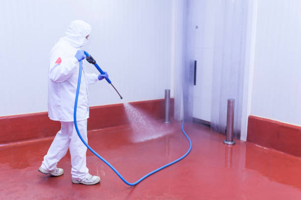 Best Deck and Patio Pressure Washing in Fisher, IL